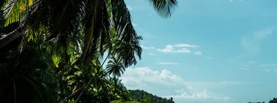 Covoiturage local à Cayenne, Guyane